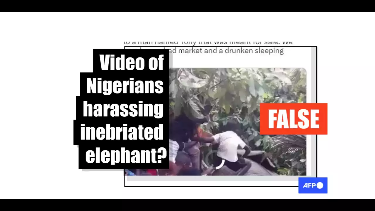 Old clip shows intoxicated elephant in Ivory Coast, not Nigeria