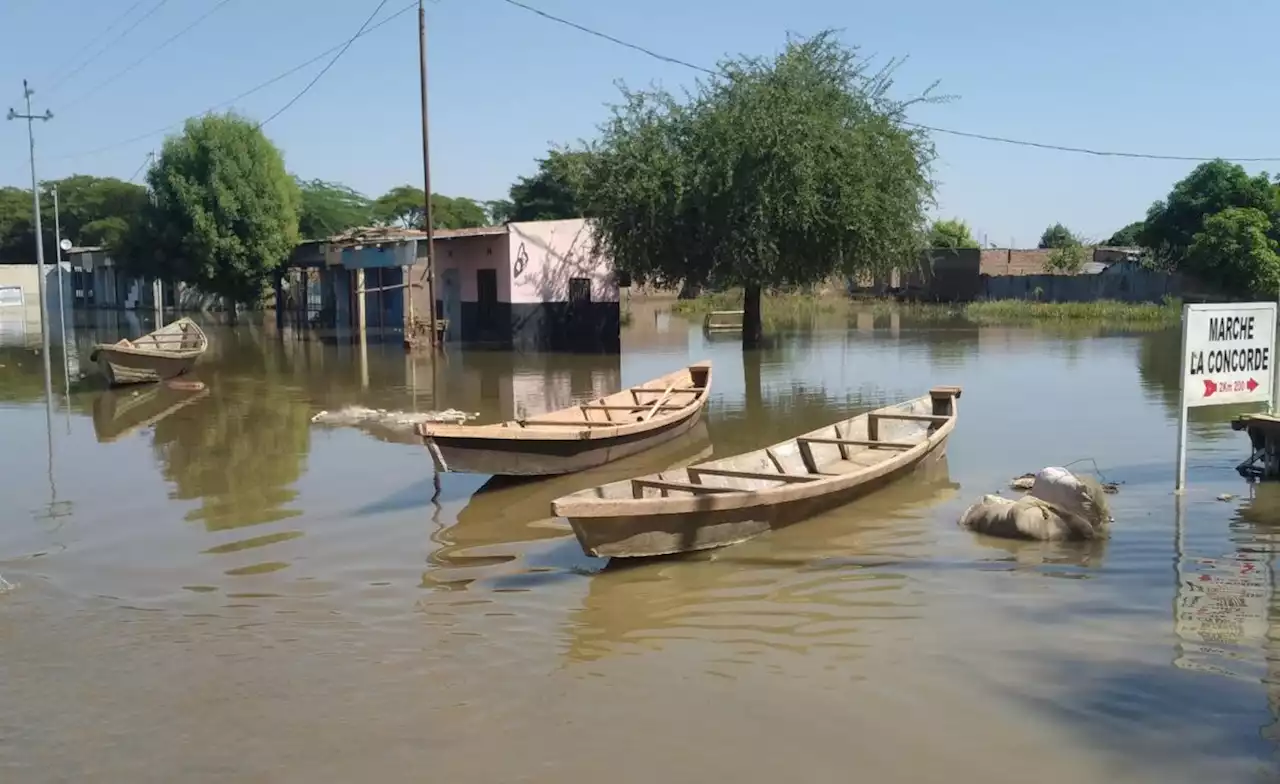 Africa: Climate Disaster Is Reshaping the World - Can Africa Make Its Mark?