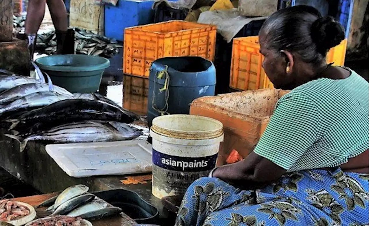 Nigeria's Street Food Adds to the Plastic Problem - Green Leaves Offer a Solution