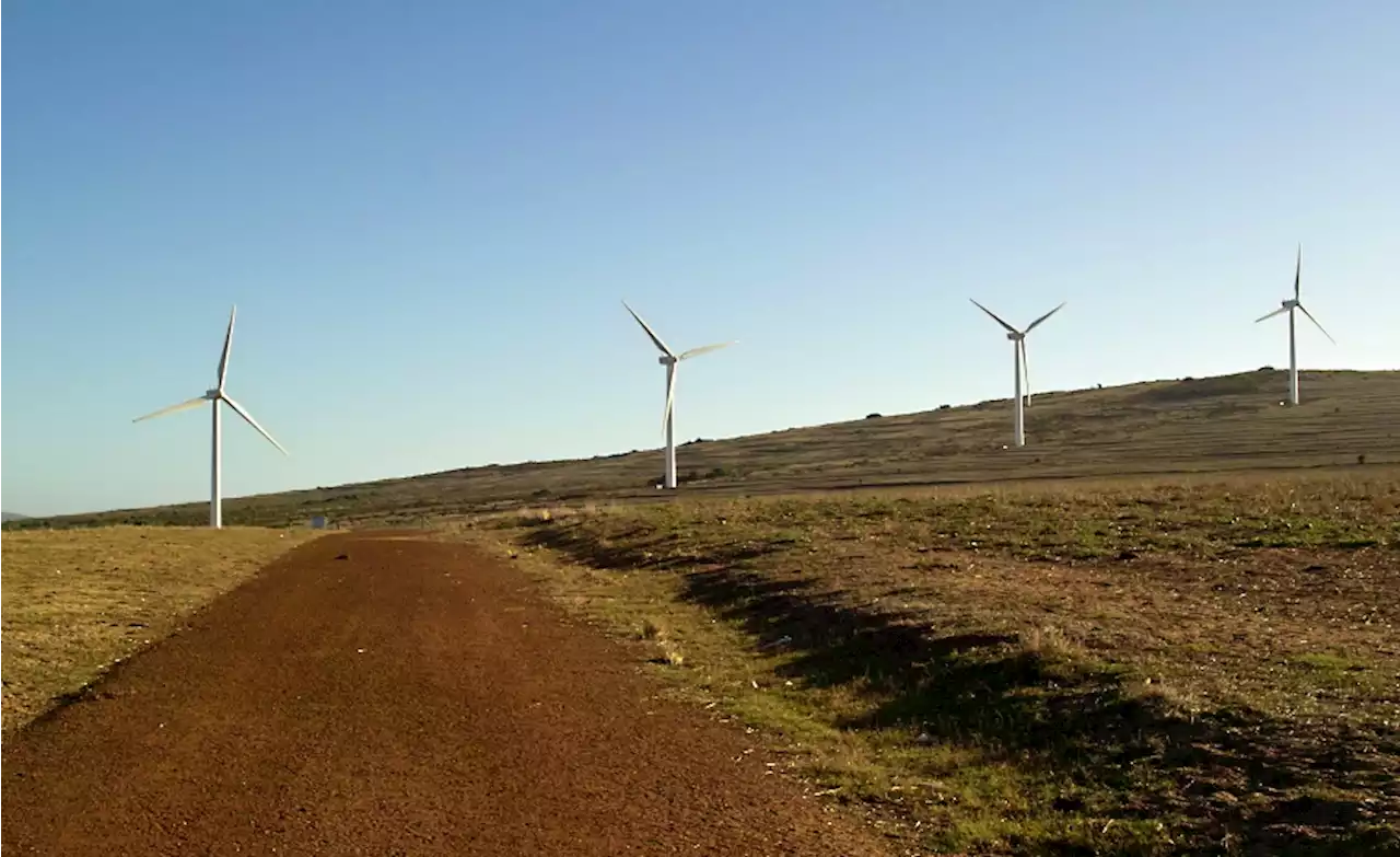 South Africa: Govt to Open Bid to Procure Additional Renewable Energy