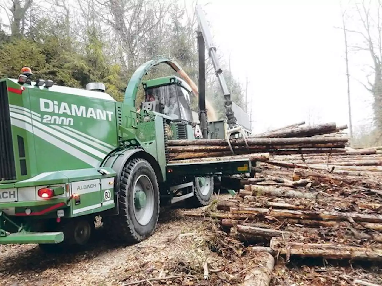 Die Nachfrage für Holz bleibt langfristig hoch - bauernzeitung.ch