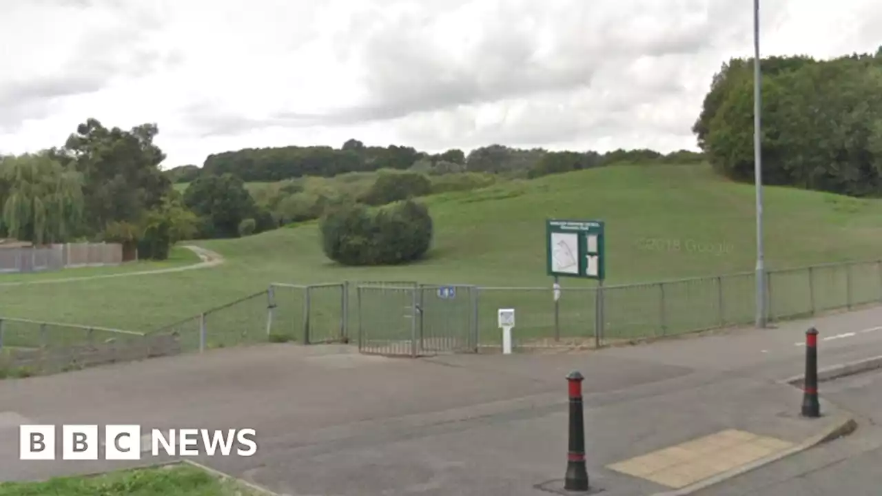 Basildon: Woman suffered cardiac arrest after music festival