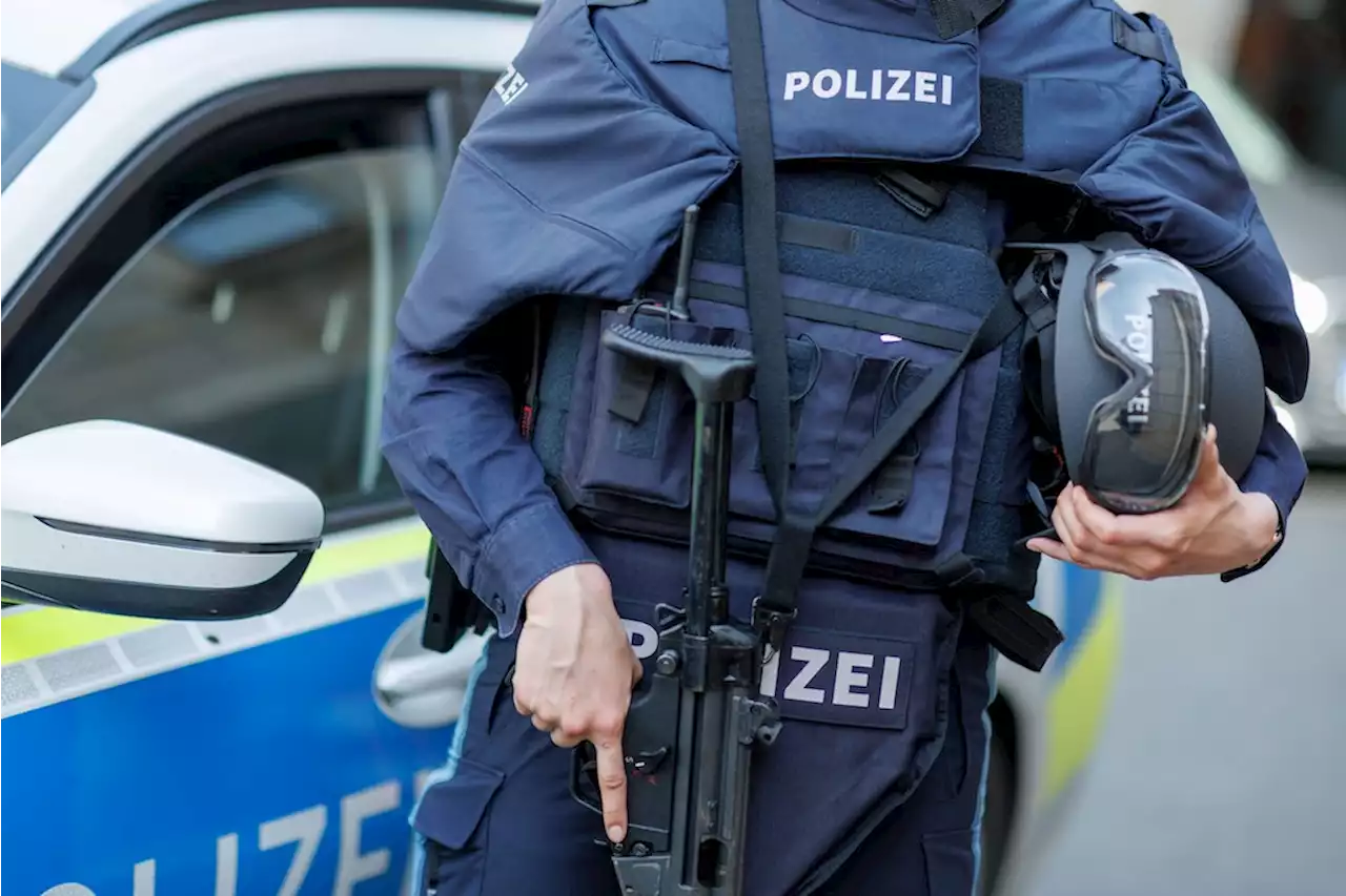 Studie: Polizeiliche Gewalt wird nur selten angezeigt