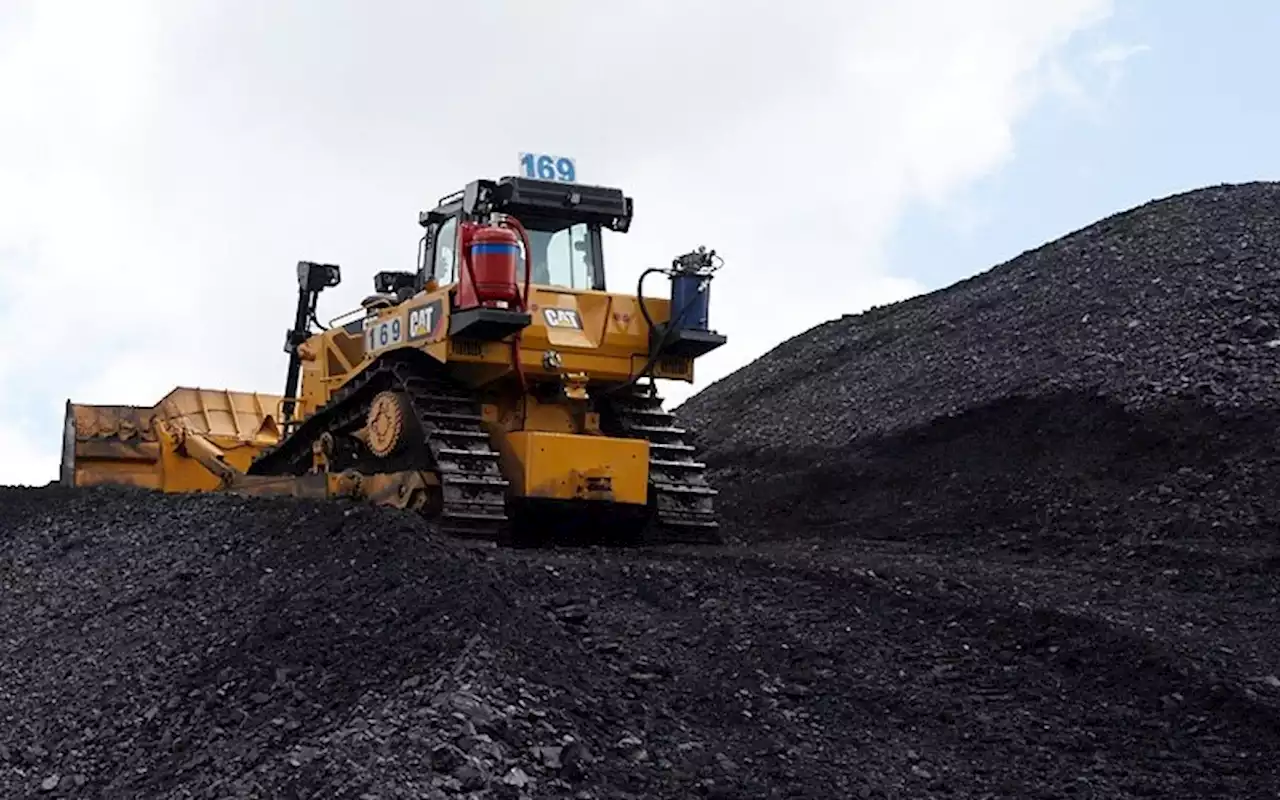 Mandiri Coal (MCOL) Bagikan Dividen Rp2,3 Triliun Hari Ini