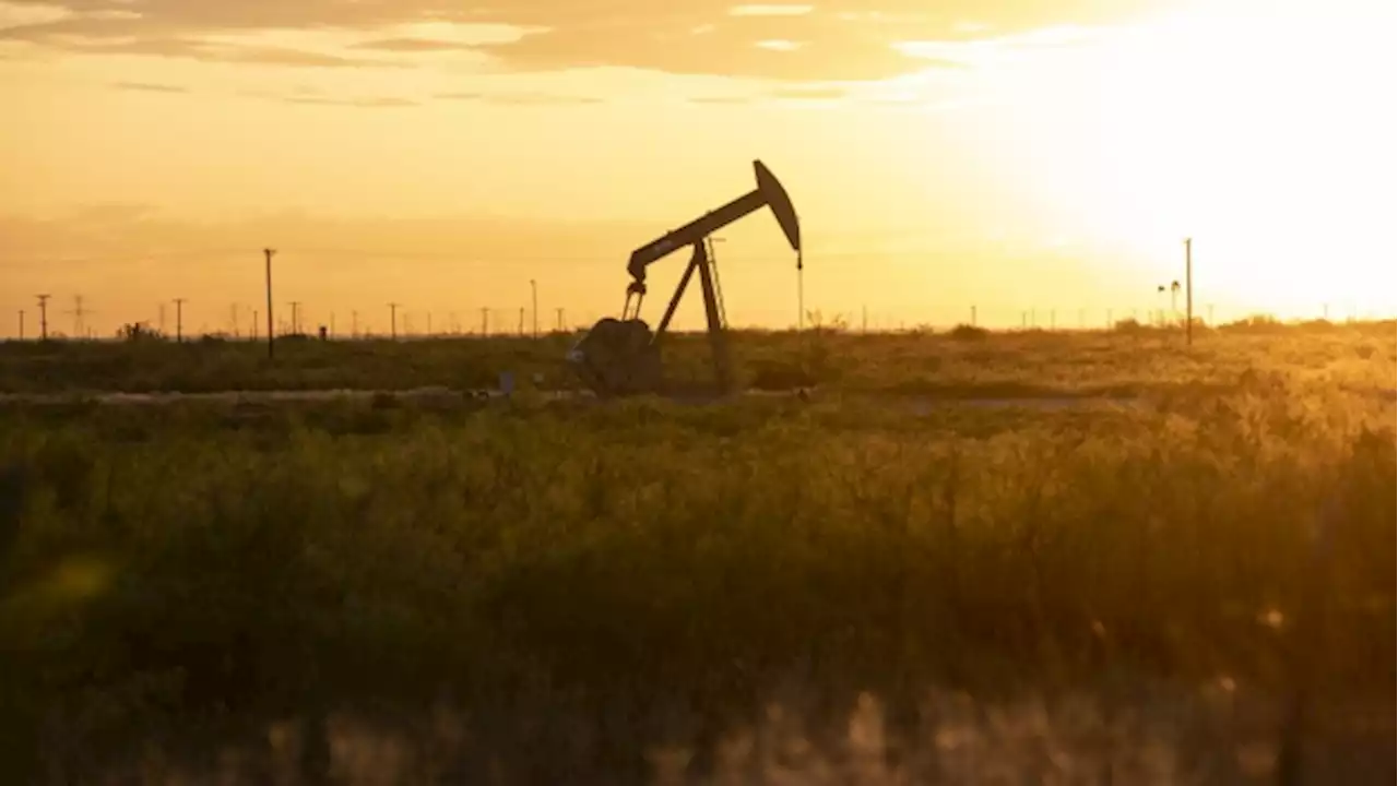 Oil drops a second day on concerns over China and stockpiles - BNN Bloomberg