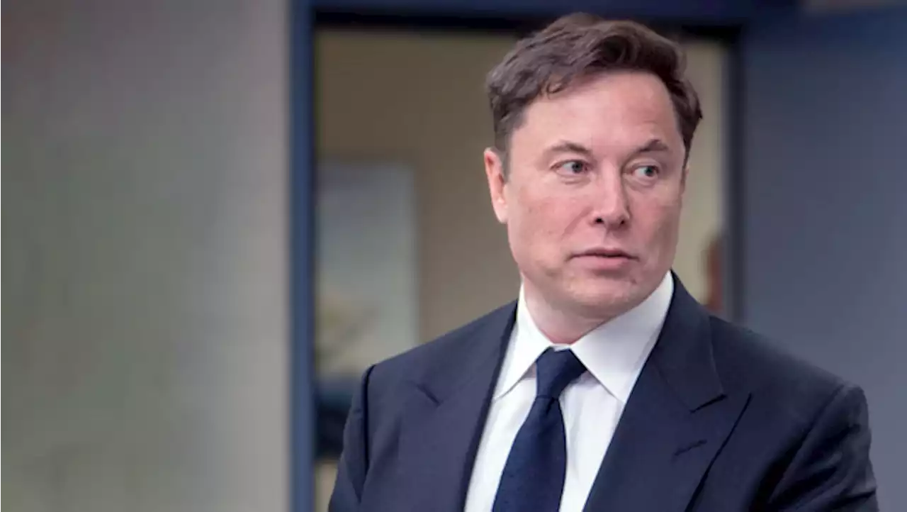 Musk: 'Diré lo que quiera, y si la consecuencia es perder dinero, que así sea'