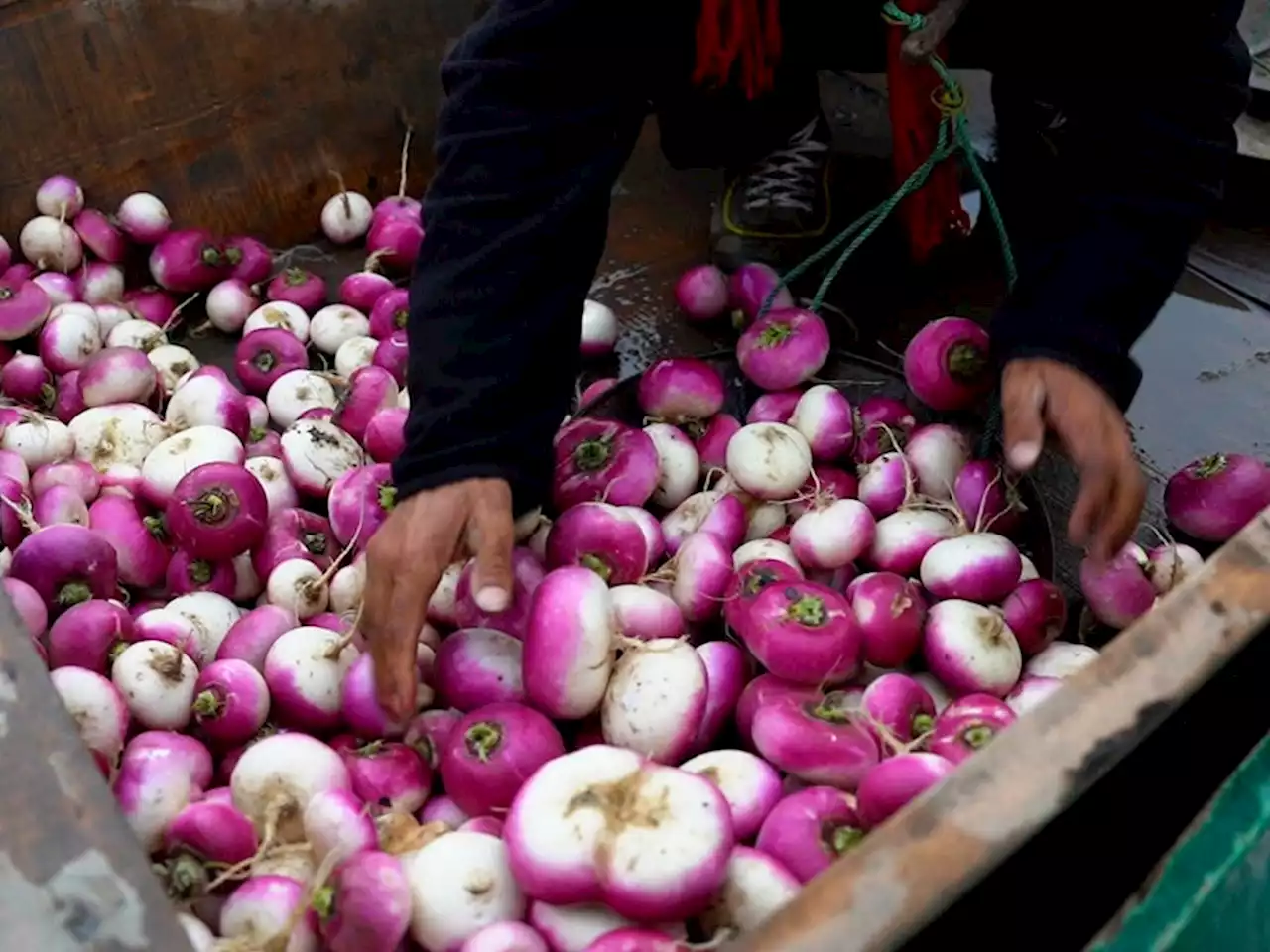 How pollution is threatening Kashmir's century-old floating market