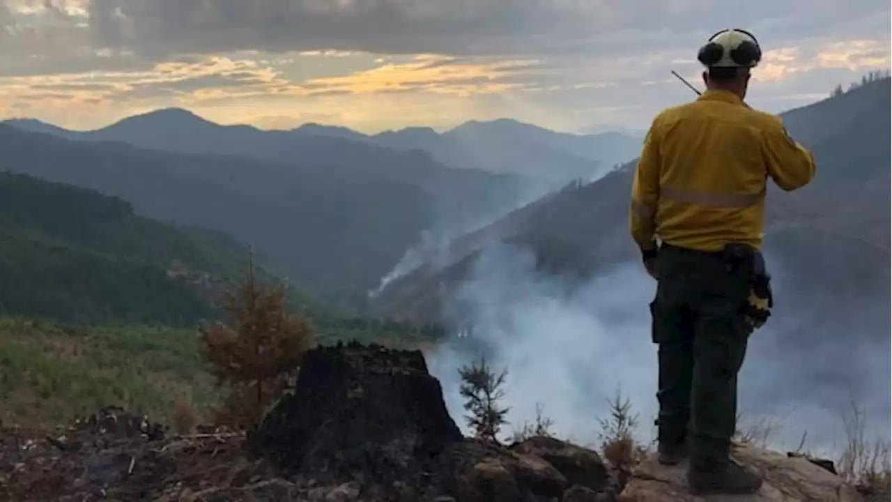 Alberta's fight against wildfires could drag on all summer, official says | CBC News