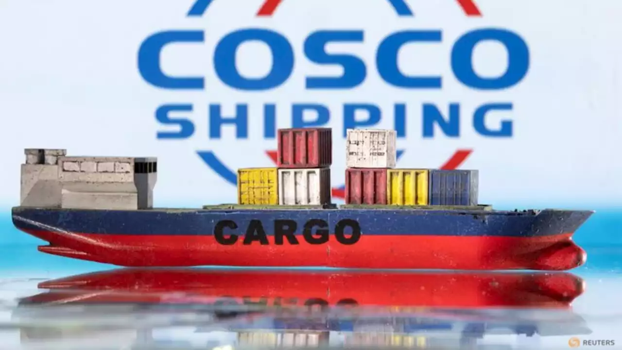 China's COSCO halts works on port in Peru after landslide