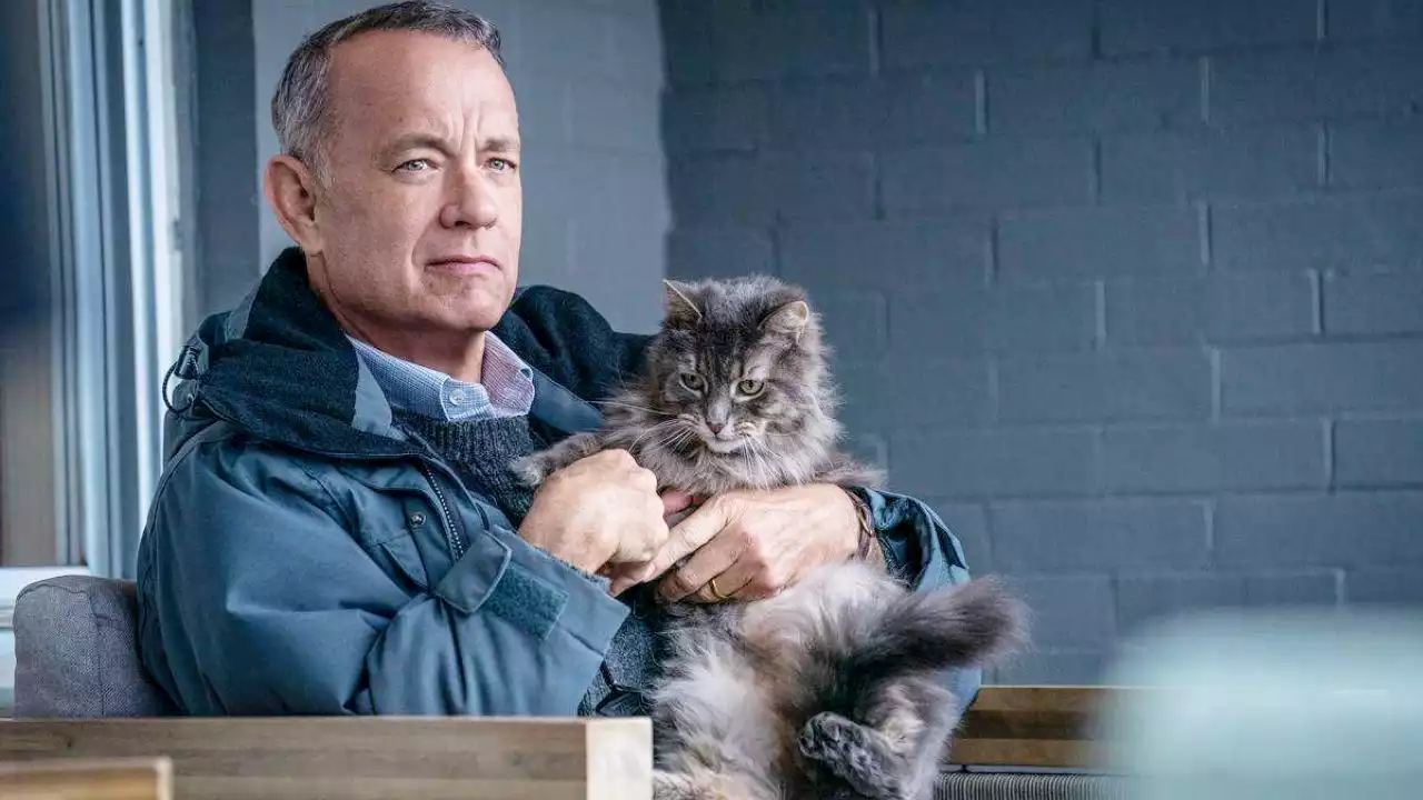 Tom Hanks preoccupato dall'IA: 'Potrei continuare a recitare anche da morto'