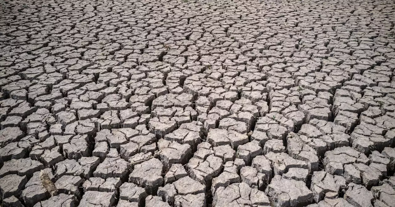 Climat. Lors des cinq prochaines années, la planète fera face à des chaleurs record