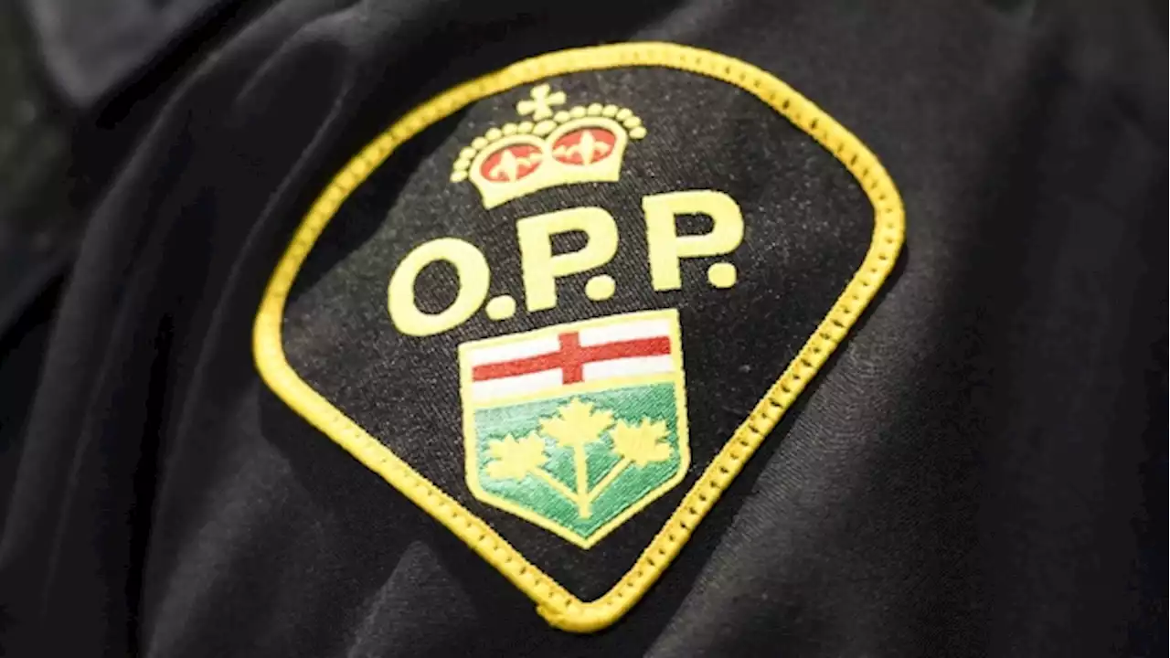 Remains found in car submerged in Lake Ontario belong to man missing since 1983: OPP