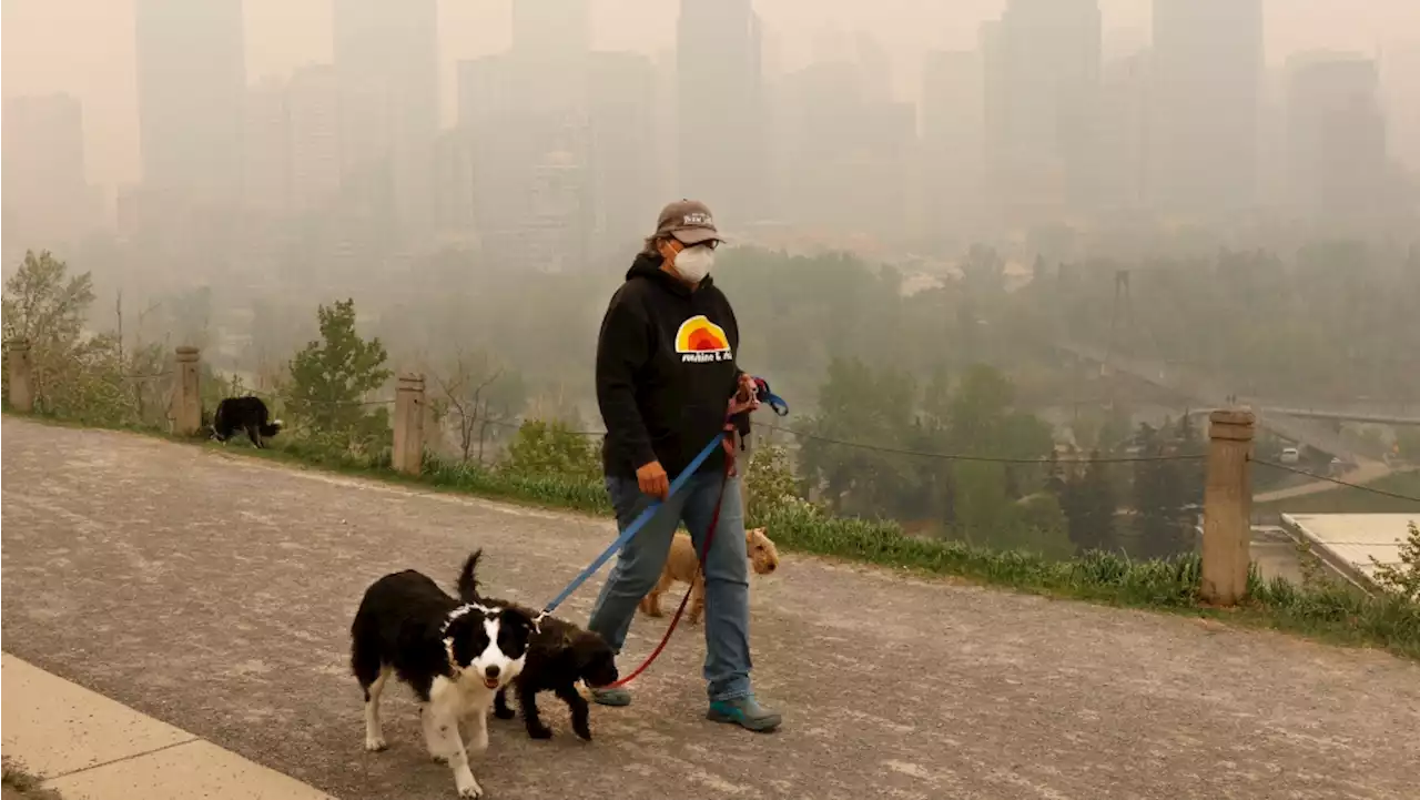 'Very concerning': Respirologist advises Western Canadians to stay indoors amid wildfire smoke, especially kids