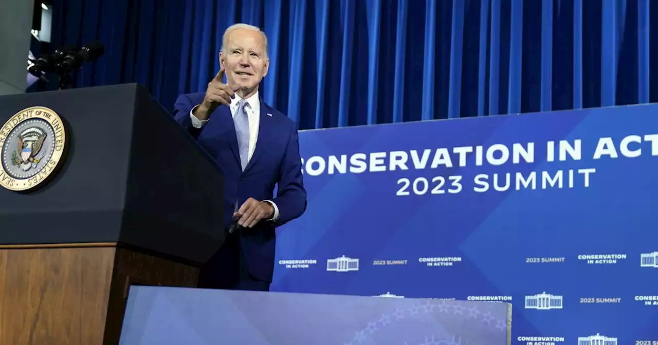 Biden campaign to spotlight green policies in appeal to younger voters