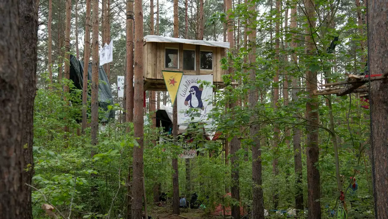 Polizei beginnt mit Räumung besetzter Bäume in Berliner Wuhlheide