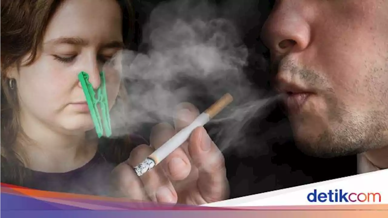 Benarkah Merokok Bisa Mengecilkan Otak? Ini Penjelasan Studinya