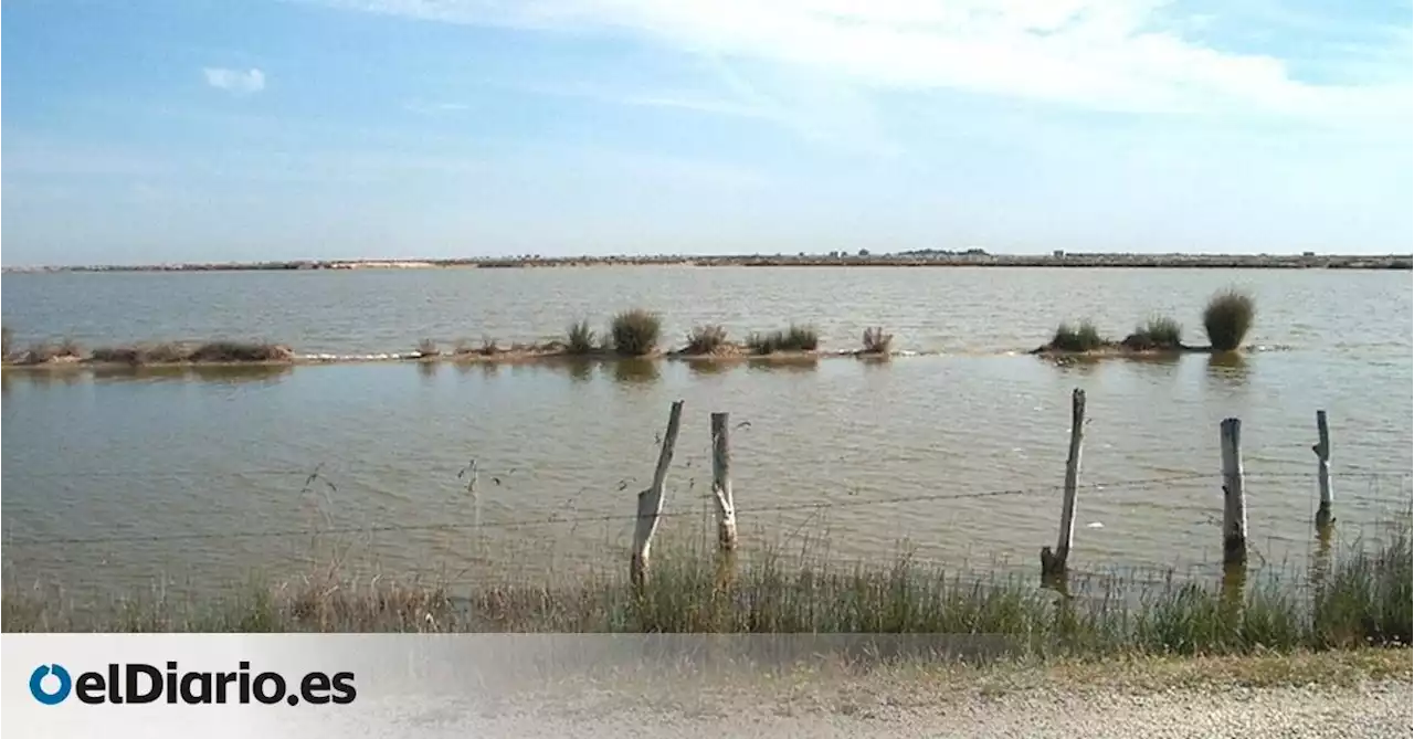 La Confederación Hidrográfica del Guadalquivir vetará la macrourbanización frente a Doñana autorizada por la Junta