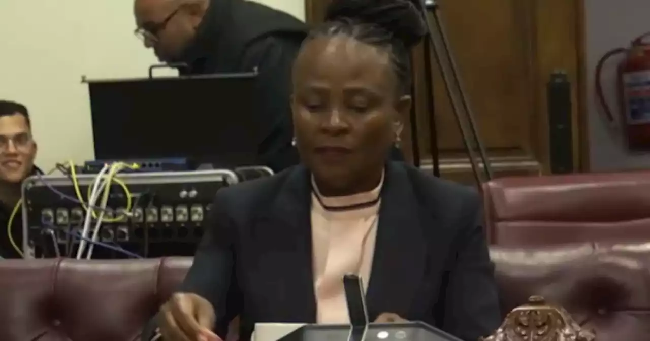 Suspended public protector hearing adjourned again