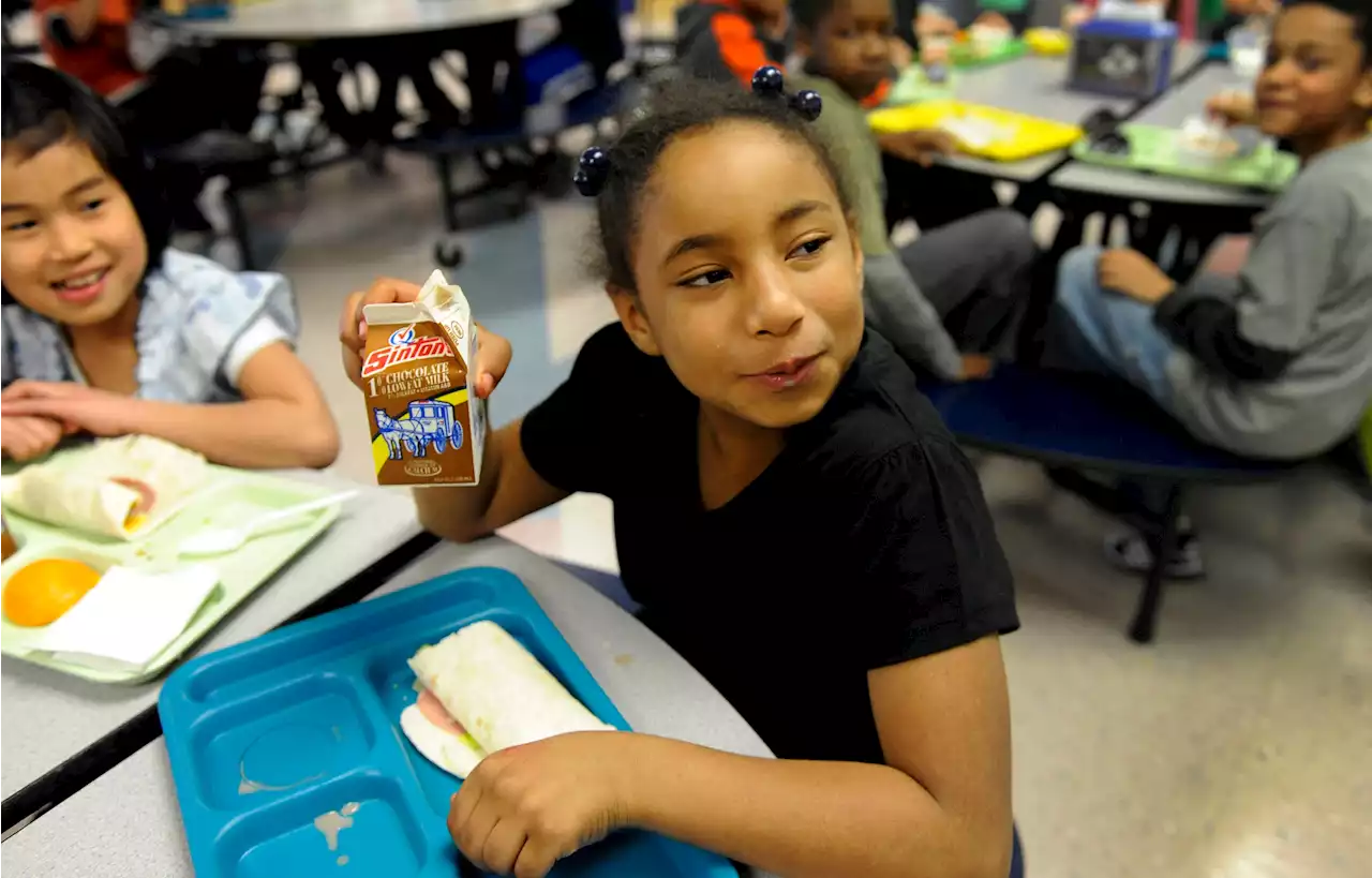 USDA considering chocolate milk ban in school cafeterias to combat childhood obesity