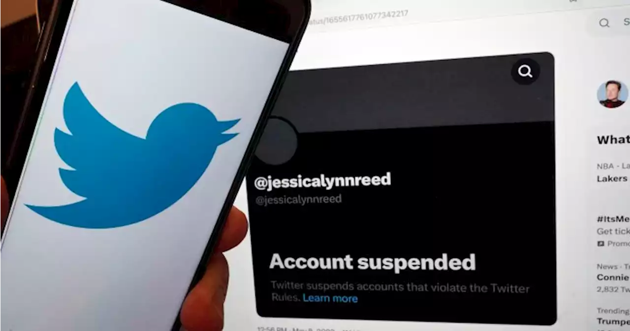 Twitter is purging inactive accounts. For those in grief, the loss is profound - National | Globalnews.ca