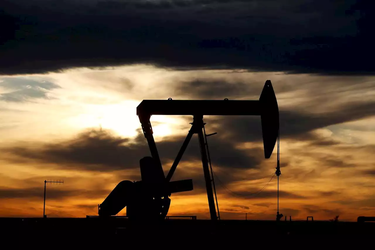 U.S. crude stockpiles post large surprise build, EIA reports
