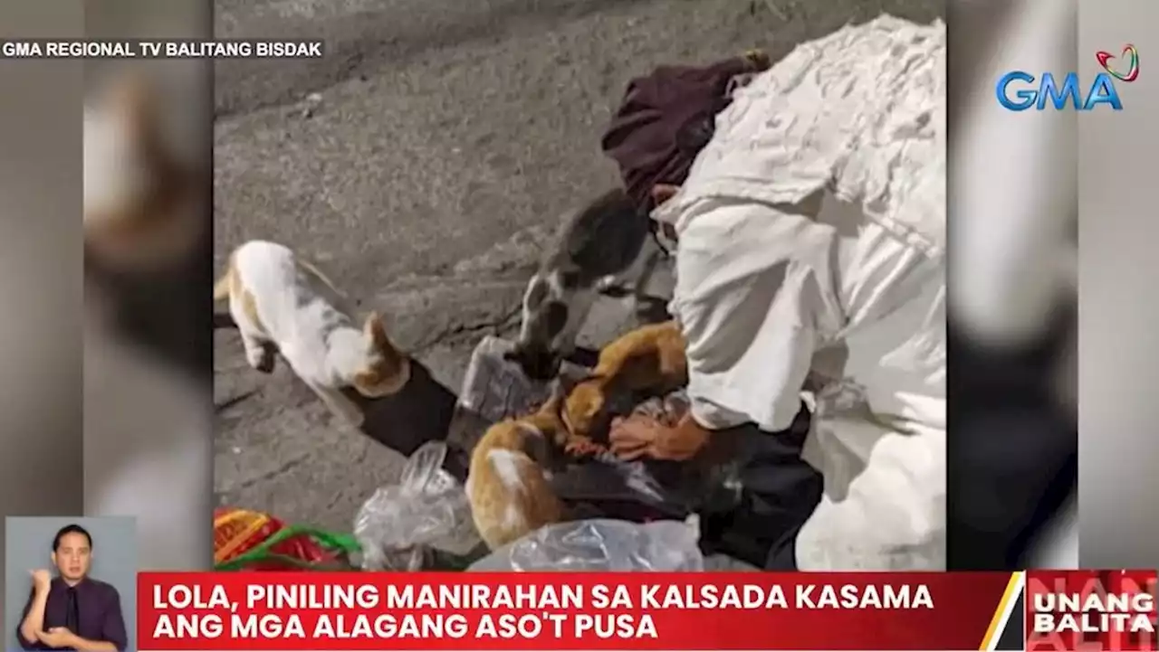 Lola sa Cebu City, piniling manirahan sa kalsada kasama ang mga alagang aso at pusa