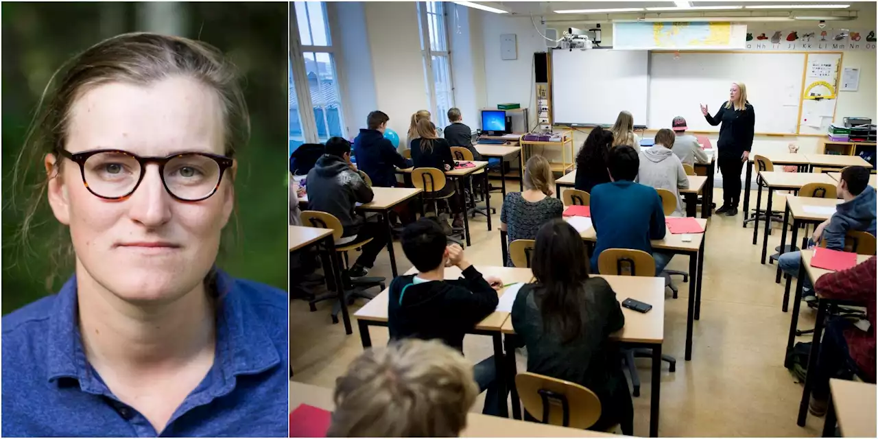 DEBATT: Som aktieägare skäms jag över Academedia