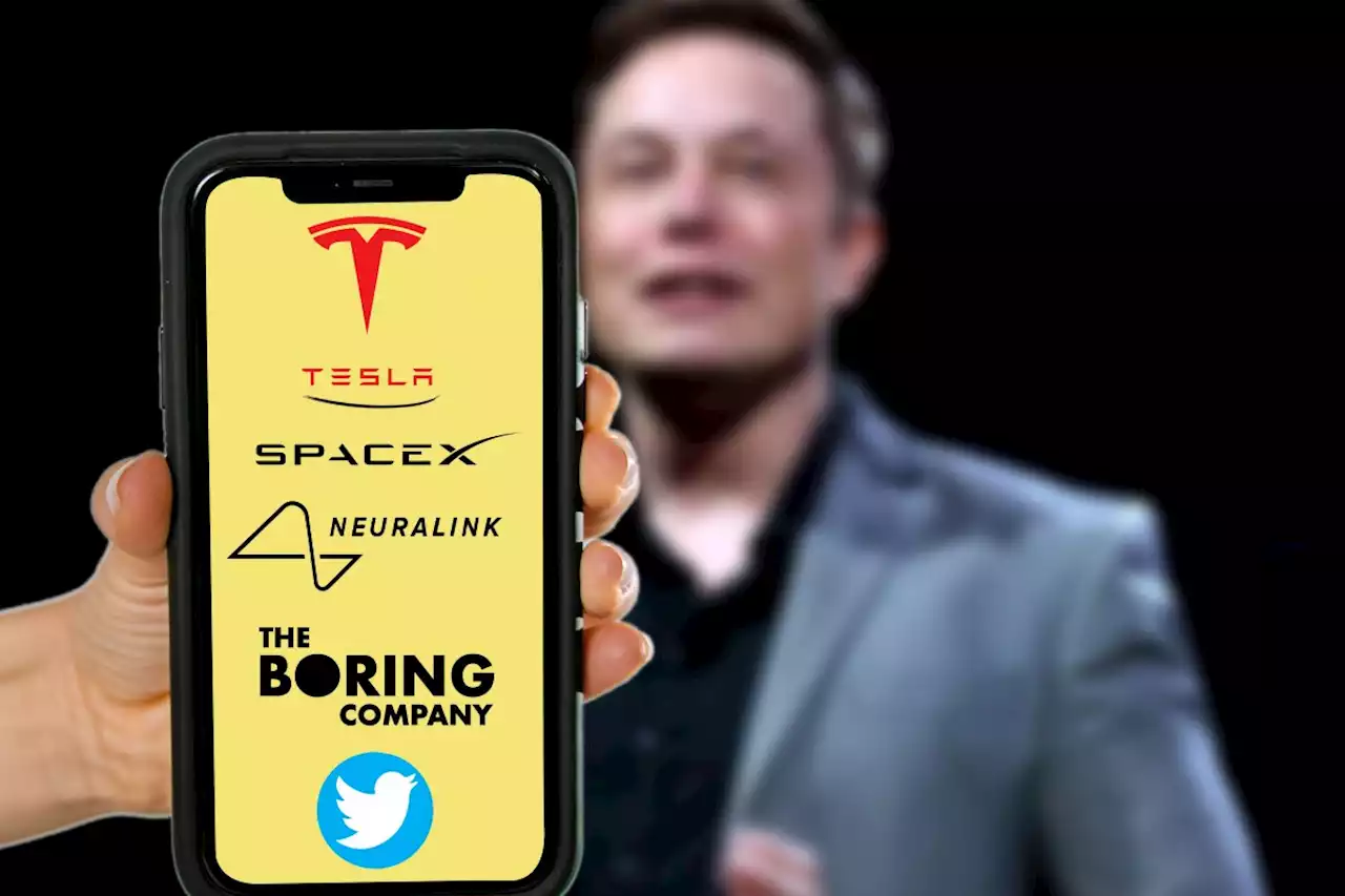 Twitter-Chef Elon Musk will so weiter twittern, auch 'wenn mich das Geld kostet'