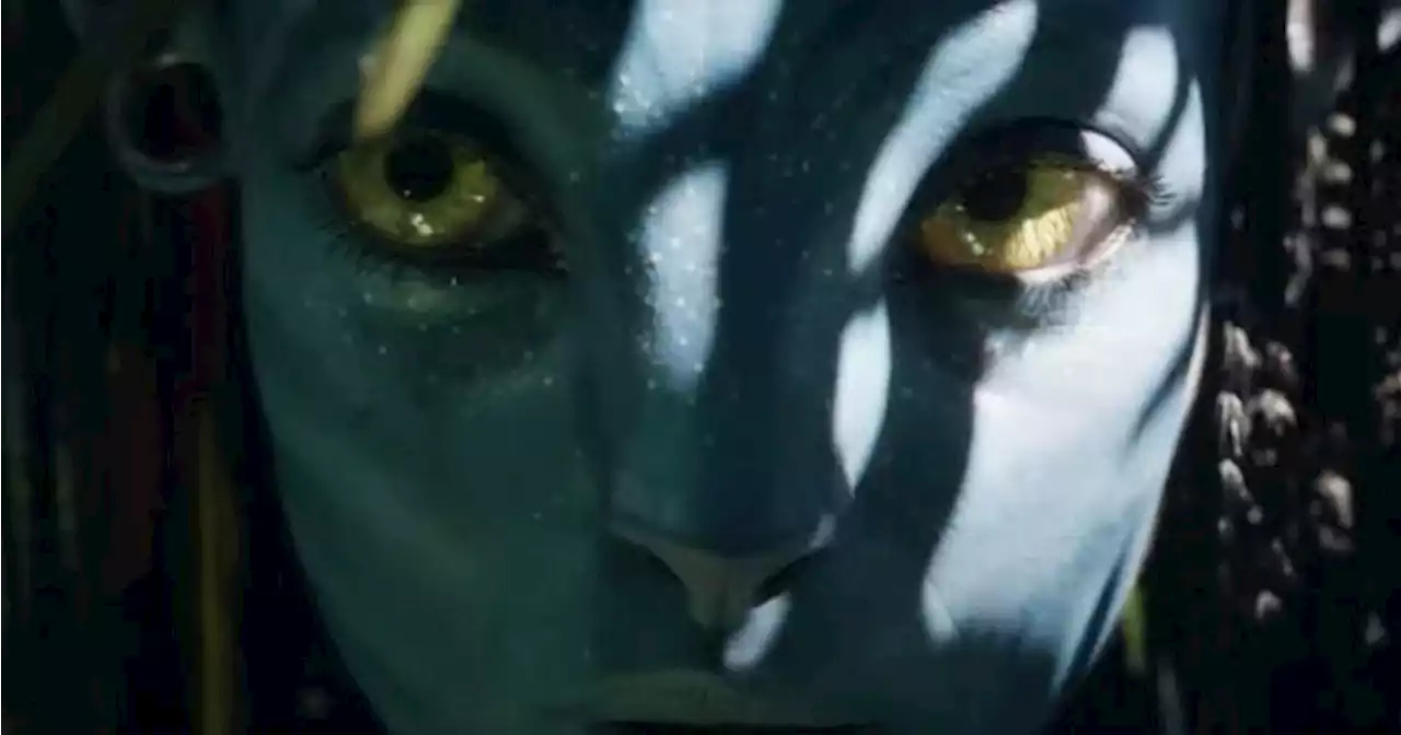 Avatar sequel finally has Disney+ screening date | JOE.ie