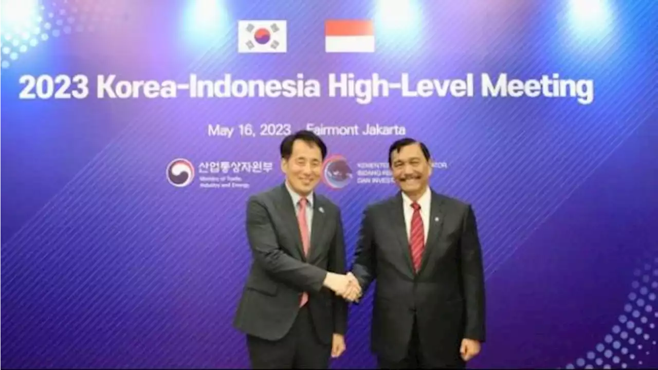 Luhut Ajak Korea Selatan Kembangkan Natuna, Ada Proyek Industri Rumput Laut hingga Resor