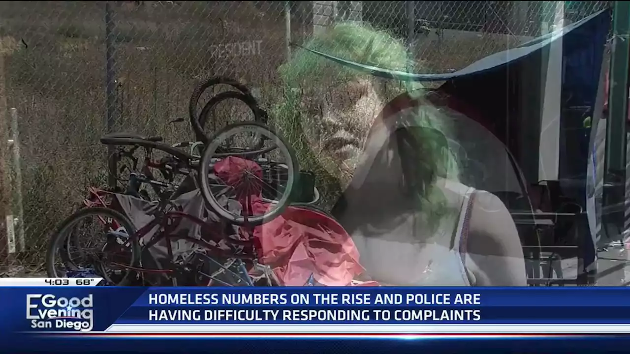 San Diego locals give up on calling police on homeless -