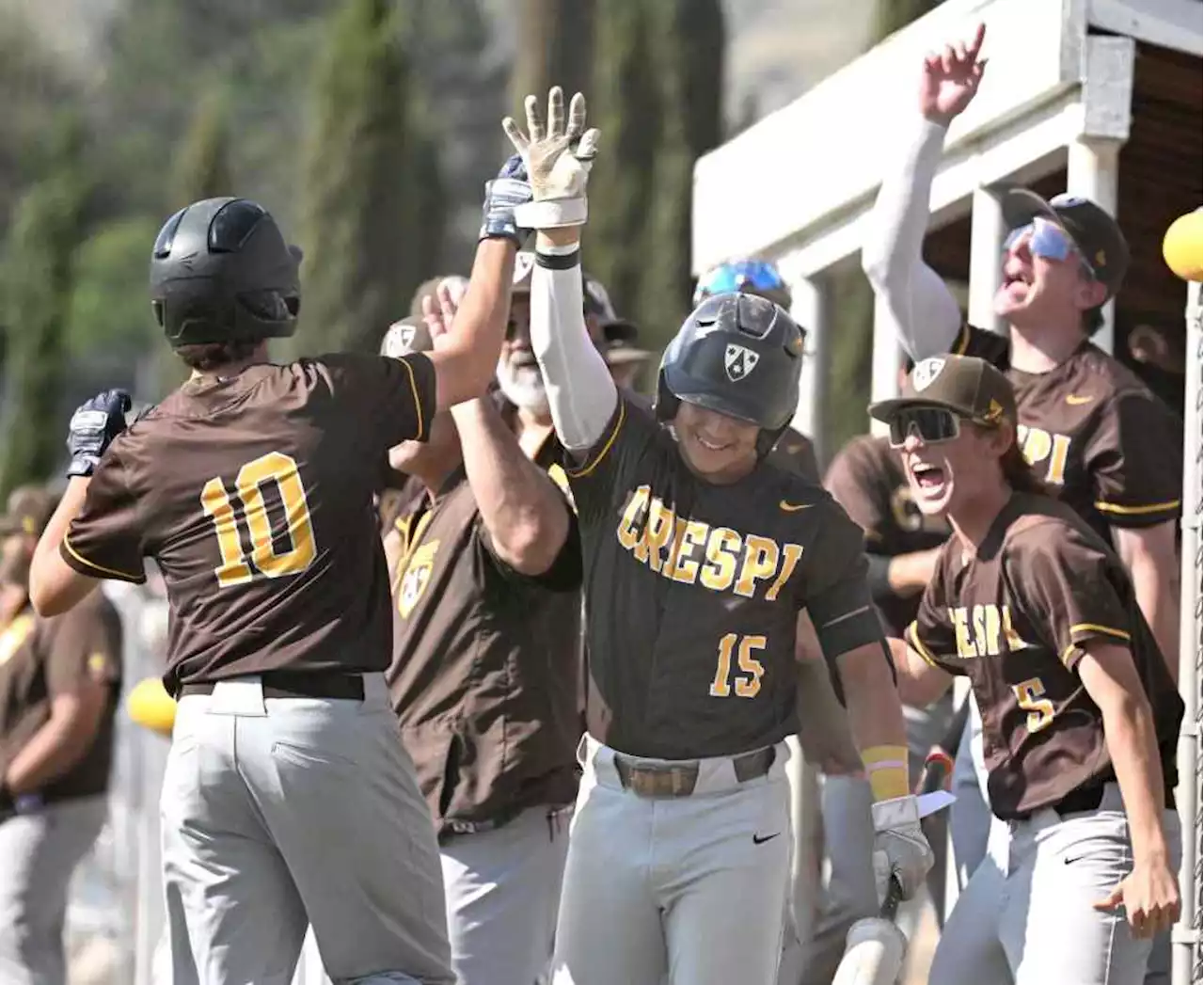 Playoff baseball roundup: Crespi advances to CIF-SS Division 2 final; Castaic continues to etch history