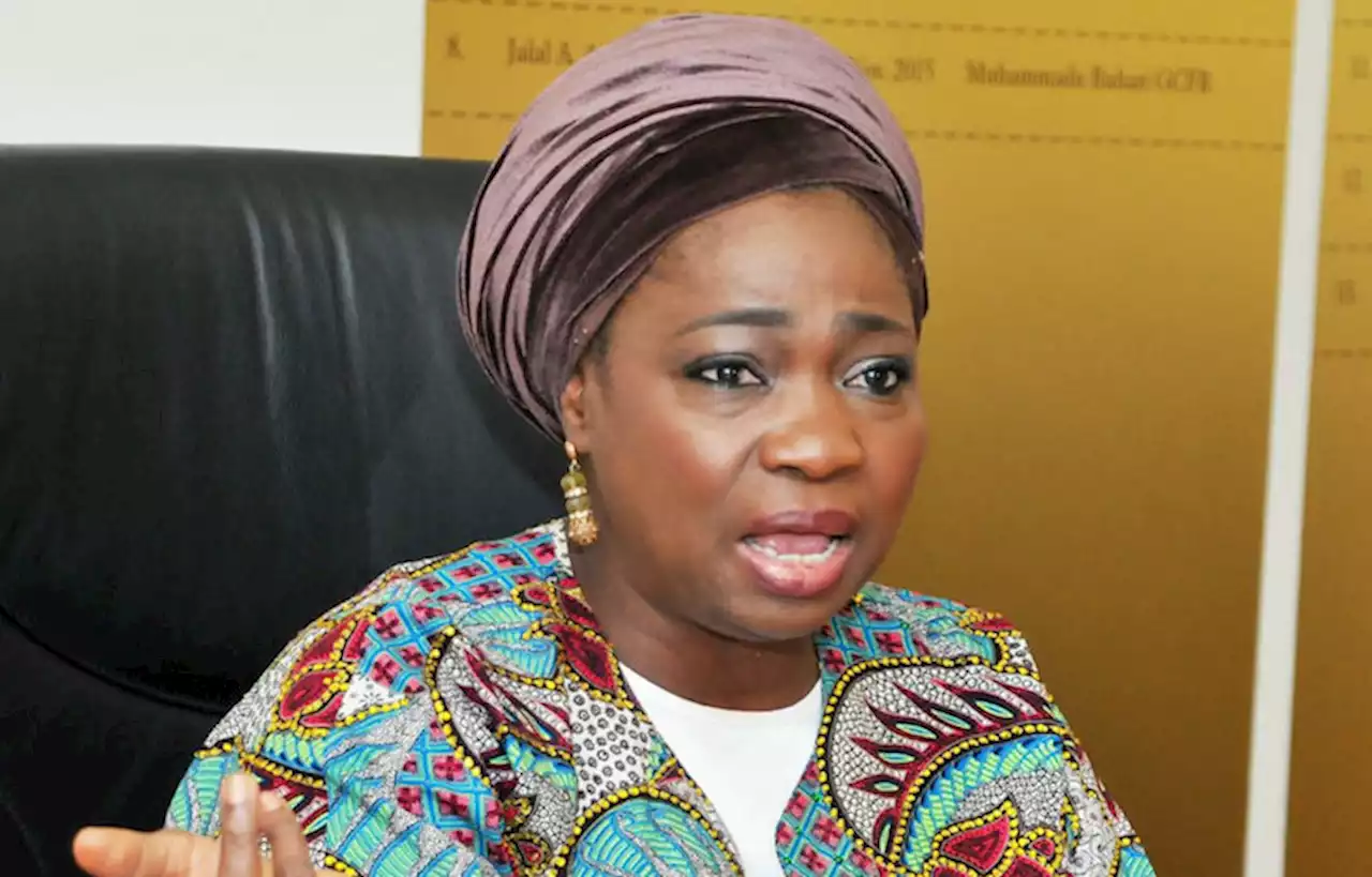 Dabiri-Erewa, Others Urge FCT Residents To Resist 'Japa' Syndrome