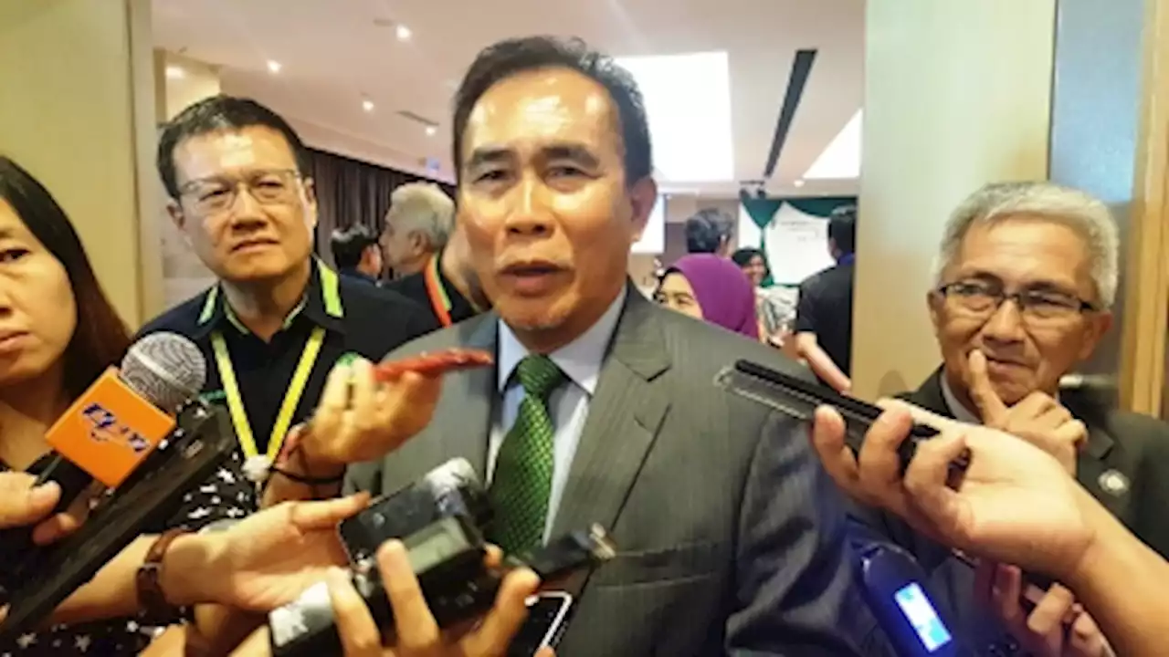 Accept that humans and crocodiles coexist in the same space, says Sarawak deputy minister