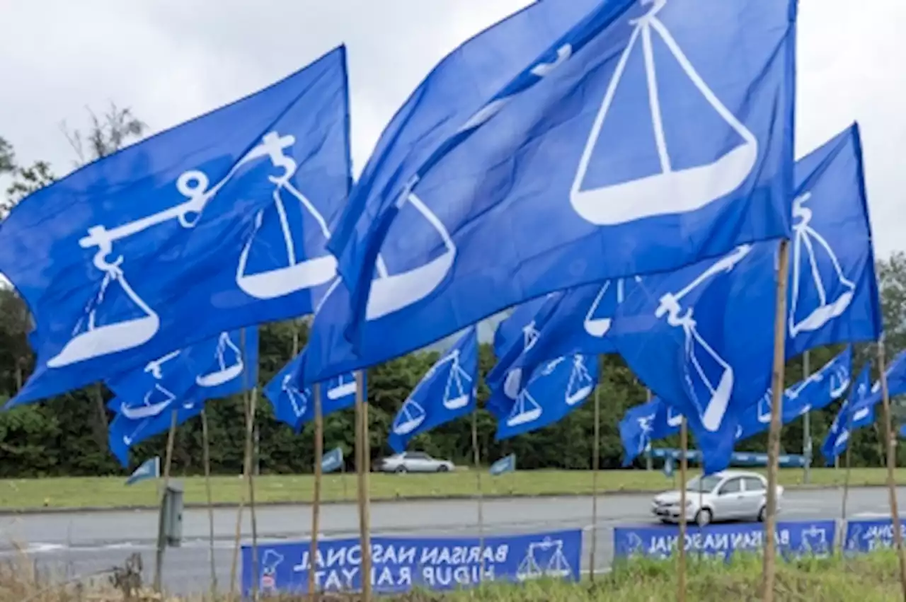 Pakatan candidates in Kedah and Terengganu may fare better with BN logo, says party leader