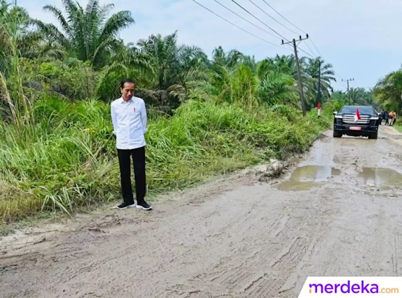 Foto : Momen Jokowi Tinjau Jalan Rusak Parah Penuh Kubangan Lumpur di Labuhanbatu Utara | merdeka.com