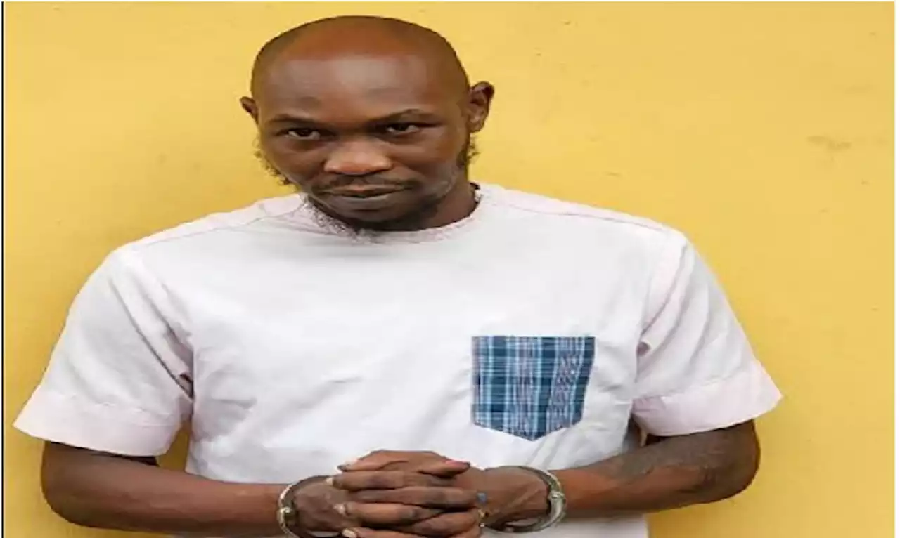 Group writes IG, warns against 'bias' in Seun Kuti's probe