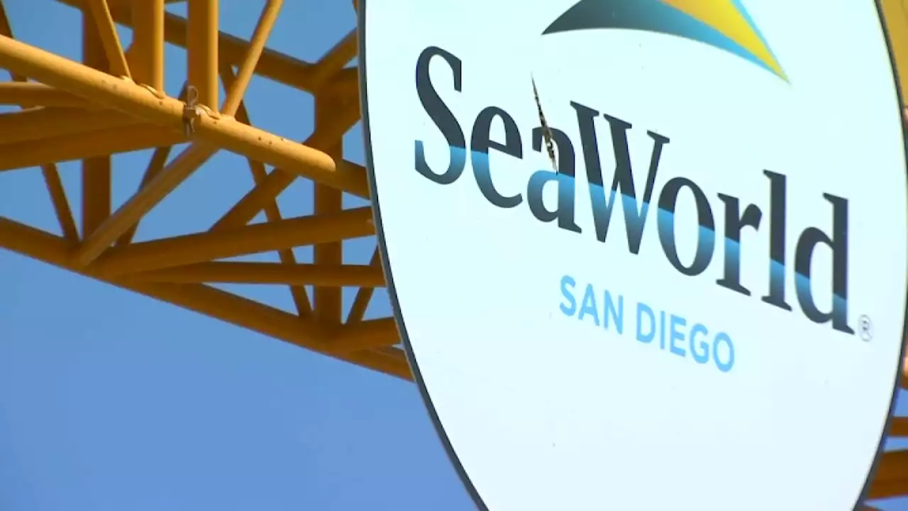 City of San Diego to Sue SeaWorld Over $12 Million in Late Rent Payments