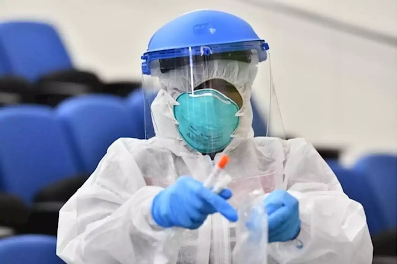 Five on trial for plot to kidnap German health minister during Covid-19 pandemic | News24