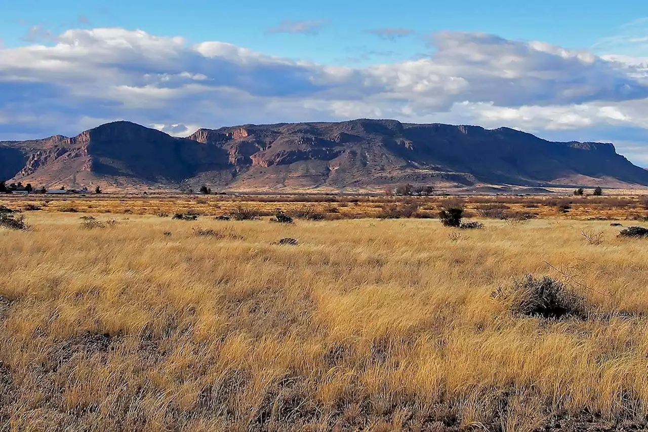 US desert grassland collapse is linked to changes in the Pacific Ocean