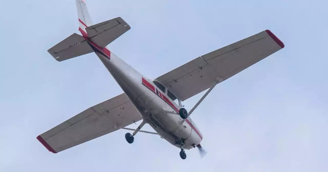 ¿Cómo habrían logrado sobrevivir los niños que iban en avioneta accidentada en Caquetá?