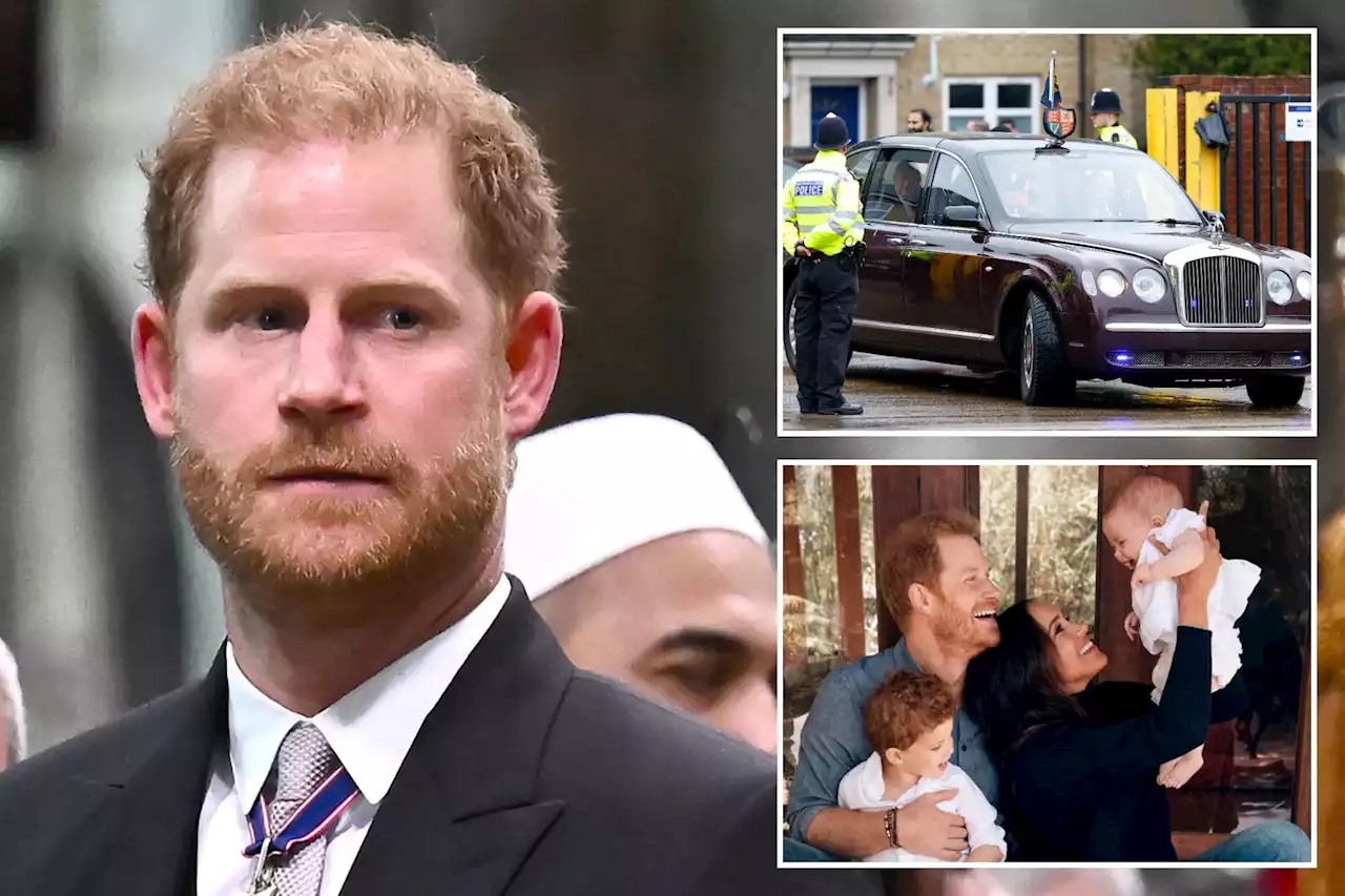 Non-royal Prince Harry shouldn’t get security just because he’s ‘wealthy’: UK