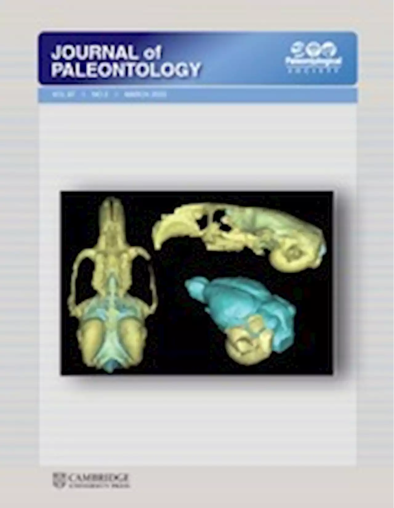 The first documentation of an Ordovician eurypterid (Chelicerata) from China | Journal of Paleontology | Cambridge Core