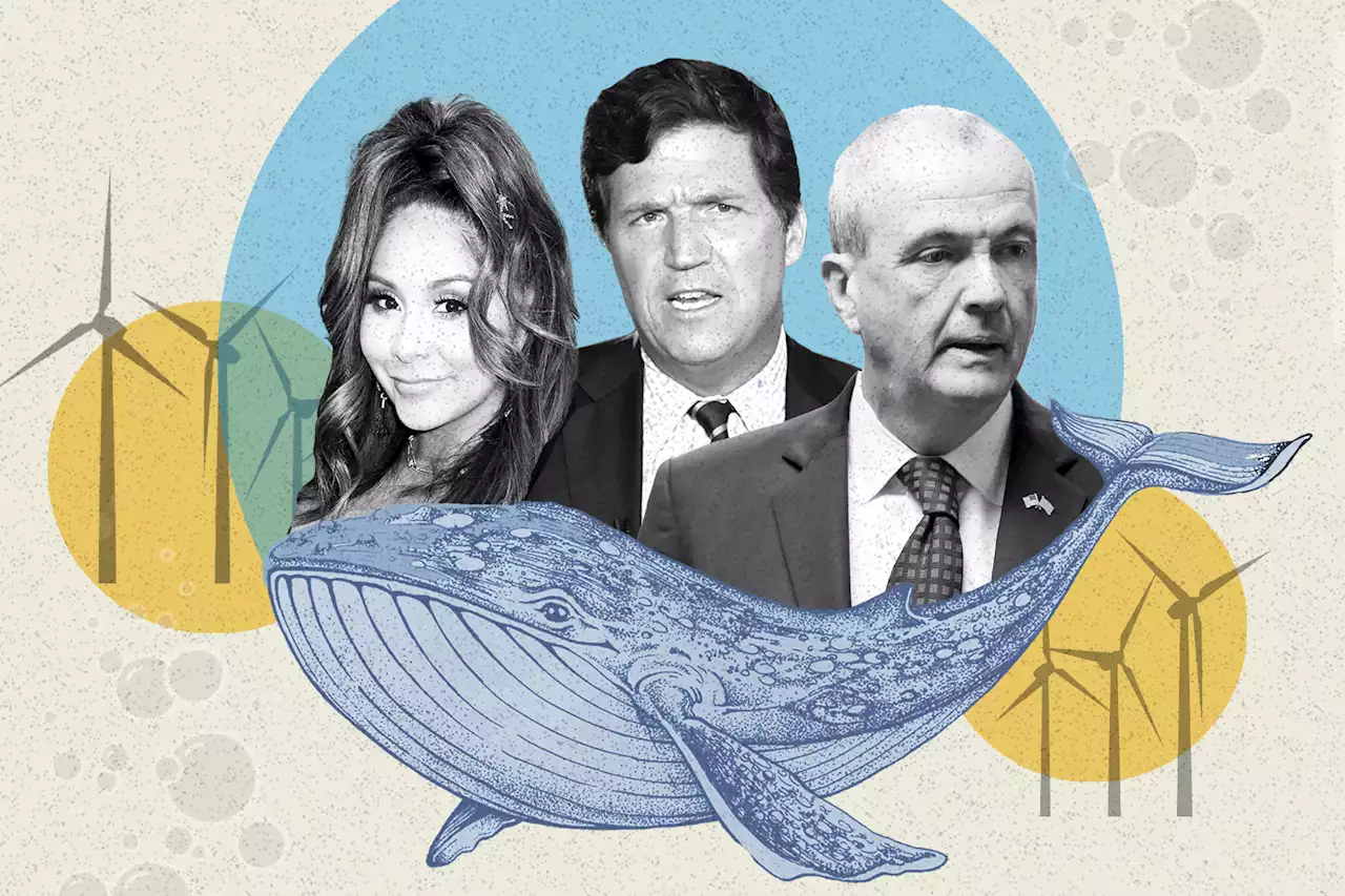 Snooki, Tucker Carlson and the battle for offshore wind in New Jersey