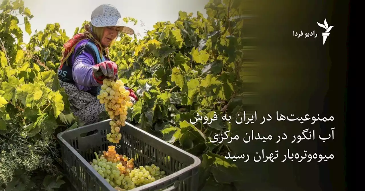 ممنوعیت‌ها در ایران به فروش آب انگور در میدان مرکزی میوه‌وتره‌بار تهران رسید