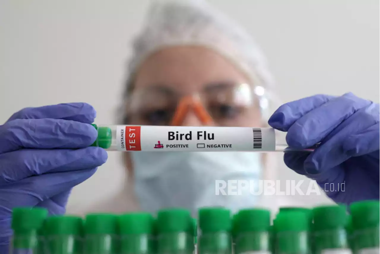 Dua Orang di Inggris Terjangkit Flu Burung |Republika Online