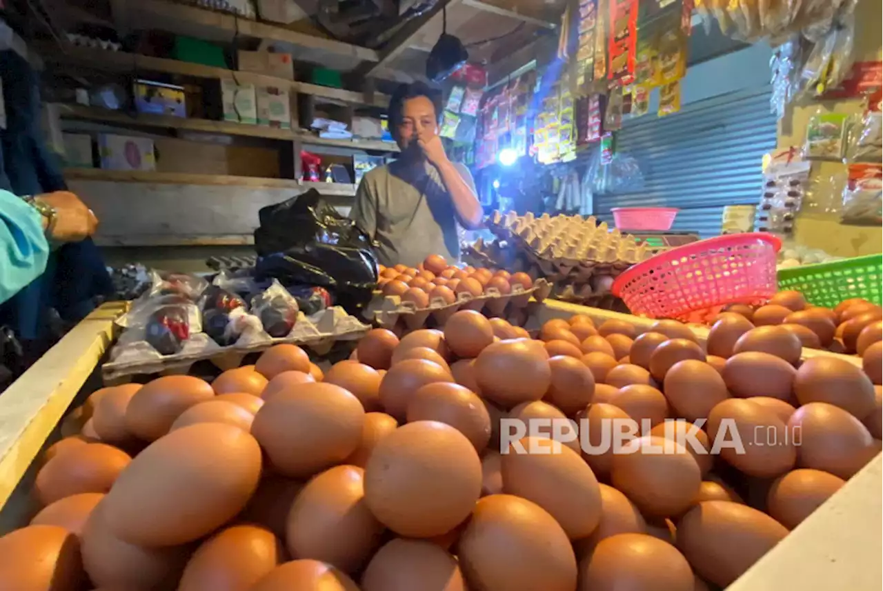 Harga Telur di Banyumas Capai Rp 33 Ribu, Lampaui Harga Psikologis Pemerintah |Republika Online