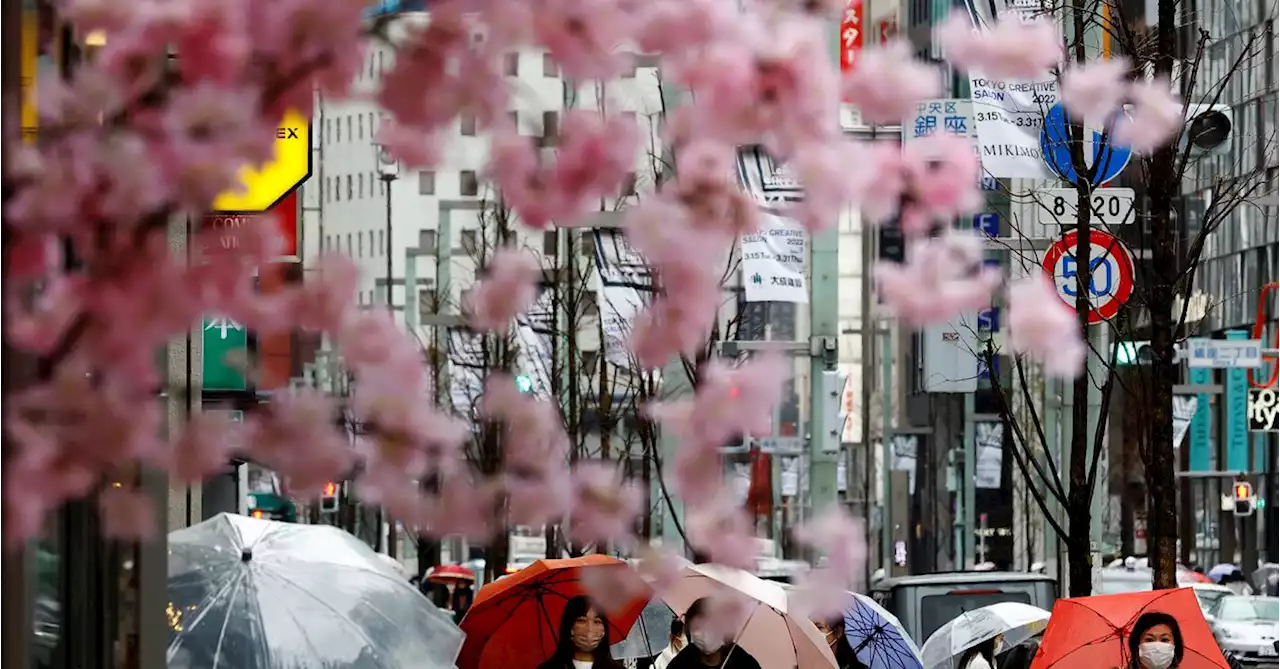 Japan visitors rise to nearly 2 mln in April after China eases travel curbs