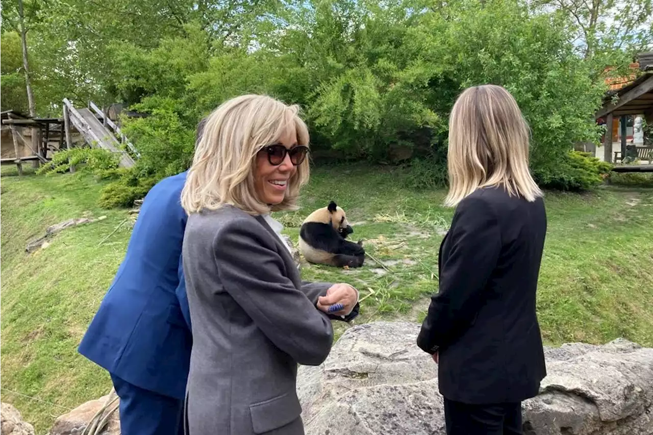 Brigitte Macron fait le plein de 'zenitude' au zoo de Beauval