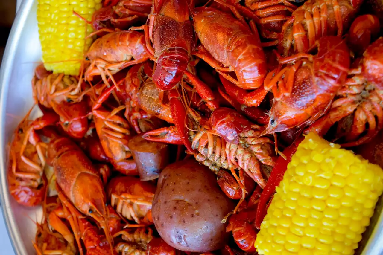 San Antonio Smashin Crab locations offering all-you-can-eat crawfish all month long